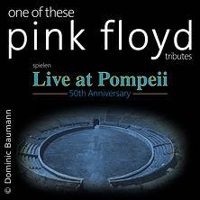 One of these Pink Floyd Tributes