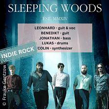 Sleeping Woods