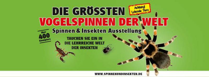 Event-Logo für Spinnen- und Insekten Ausstellung am 03.03.2018 um 10:00 Uhr in Dortmund 