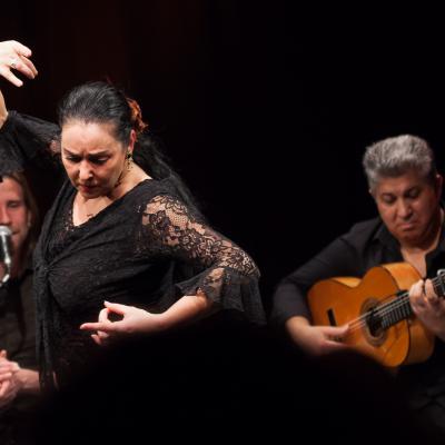 Bild 3 zu Juerga Flamenca am 09. November 2017 um 19:30 Uhr, Redouten Säle (Passau)