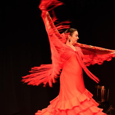 Bild 2 zu Juerga Flamenca am 09. November 2017 um 19:30 Uhr, Redouten Säle (Passau)
