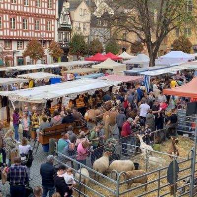 Bild 1 zu Bauernmarkt am 27. Oktober 2024 um 13:00 Uhr, Marktplatz (Boppard)