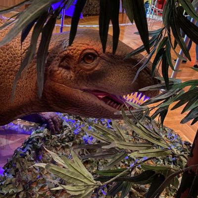 Bild 1 zu Welt der Dinosaurier  am 21. April 2024 um 10:00 Uhr, Mehrzweckhalle (Obertraubling)