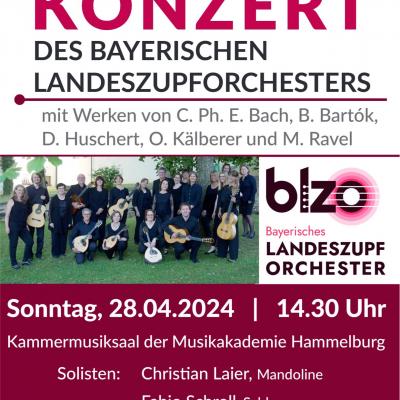 Bild 1 zu Werkstatt-Konzert  am 28. April 2024 um 14:30 Uhr, Musikakademie Hammelburg (Hammelburg)