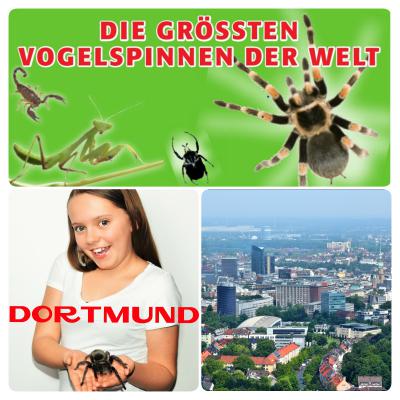 Bild 3 zu Spinnen- und Insekten Ausstellung am  um 10:00 Uhr, Gala Eventhalle  (Dortmund )