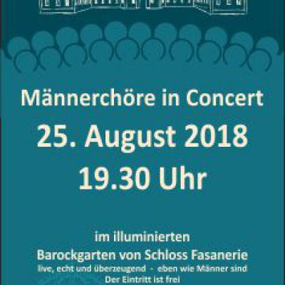 Bild 1 zu Endlich Männer live am 25. August 2018 um 19:30 Uhr, Obstgarten Schloss Fasanerie (Eichenzell)