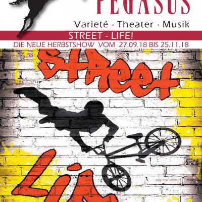 Bild 2 zu Street- Life am 27. September 2018 um 20:30 Uhr, Varieté Pegasus (bensheim)