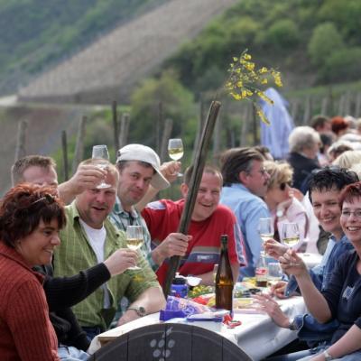 Mittelrheinischer Weinfrühling