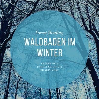 Bild 1 zu Waldbaden im Winter am 29. Januar 2023 um 10:00 Uhr, Stuttgart Heumaden (Stuttgart)