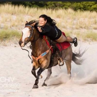 Bild 1 zu Actionshow mit Pferden am 25. Juli 2023 um 19:30 Uhr, Van der Valk Resort (Linstow)