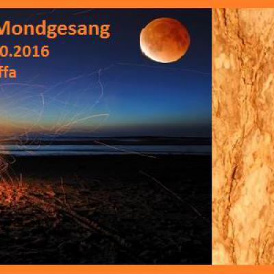 Bild 1 zu Feuerklang und Mondgesang  am 15. Oktober 2016 um 12:00 Uhr, Jardin Mariposa (Teneriffa)