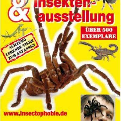 Bild 1 zu Insectophobie Riesen Spinnen & Insekten  am 28. April 2024 um 11:00 Uhr, Tiefstollenhalle (Preißenberg)