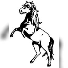 45. Ponyshow Wenigenauma in Auma-Weidatal am 26. Juli 2026 um 13:30 Uhr