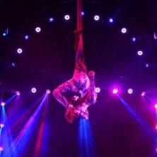 Circus Huberti - Family Show Selmsdorf in Selmsdorf am 12. Juni 2026 um 16:00 Uhr