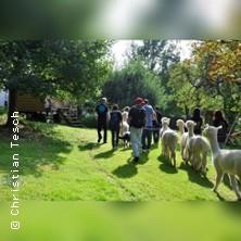 Die große Alpaka Wanderung! in Altomünster/thalhausen am 07. Juni 2026 um 13:00 Uhr