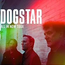 Dogstar | Germany 2026 | Support - James And The Cold Gun in Köln am 01. Juli 2026 um 20:00 Uhr