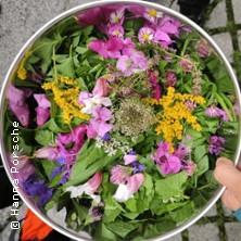 Kräuterwanderung in München in Pullach am 09. Mai 2026 um 10:00 Uhr