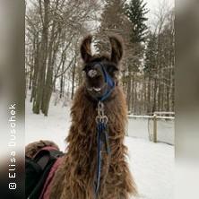 Glühwein-Wanderung in Schönau-Berzdorf Ot Kiesdorf am 07. November 2026 um 13:00 Uhr