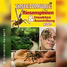 Insectophobie - Riesen Spinnen & Insekten in Nürtingen am 07. Juni 2026 um 11:00 Uhr