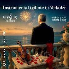 Instrumentales Tribute an Meladze in Hamburg am 15. Oktober 2026 um 19:30 Uhr