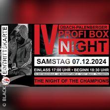 IV.Übach-Palenberger Profi Box Night