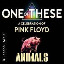 One Of These A celebration of Pink Floyd - Animals Tour in Enspel am 08. August 2026 um 20:30 Uhr