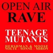 Open Air Rave - Honig-Werk in Wittenberge am 25. Juli 2026 um 16:00 Uhr