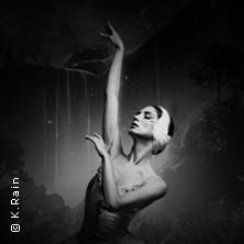 Schwanensee: Jenseits der Bühne - Live-Streichquartett & Ballett in Göppingen am 09. Oktober 2026 um 20:00 Uhr