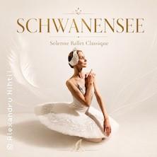 Schwanensee - Solenne Ballet Classique in  am 03. Dezember 2026 um 19:00 Uhr