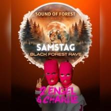 Sound of Forest x Black Forest Rave in Wutöschingen am 27. Juni 2026 um 20:00 Uhr