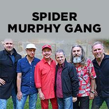 Spider Murphy Gang & guest