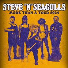 Steve 'n' Seagulls