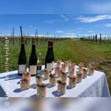 Weinbergwanderung mit Picknick in Siebeldingen am 27. Juni 2026 um 11:00 Uhr