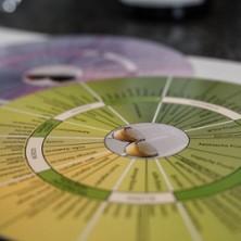 Weinseminar - Weinsensorik in Ludwigsburg am 25. Juli 2026 um 13:00 Uhr
