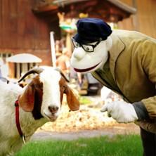 Werner Momsen - Momsen, Tiere, Sensationen in Lentföhrden am 15. Oktober 2026 um 20:00 Uhr