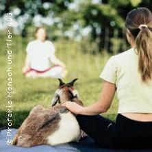 Yoga mit Schafen & Ziegen in der Natur in Teltow am 31. Mai 2026 um 12:00 Uhr
